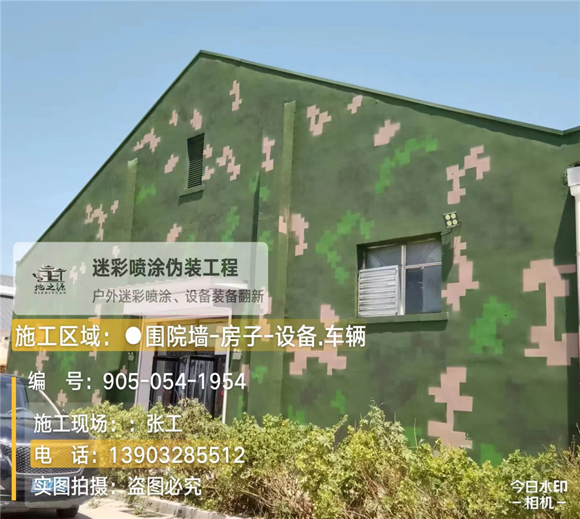 合肥外墙数码迷彩漆施工报价清单（100㎡标准墙面测算）